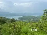 2 Acre Ready Mango  & cashew Farm  develop Agriculture land for Sale