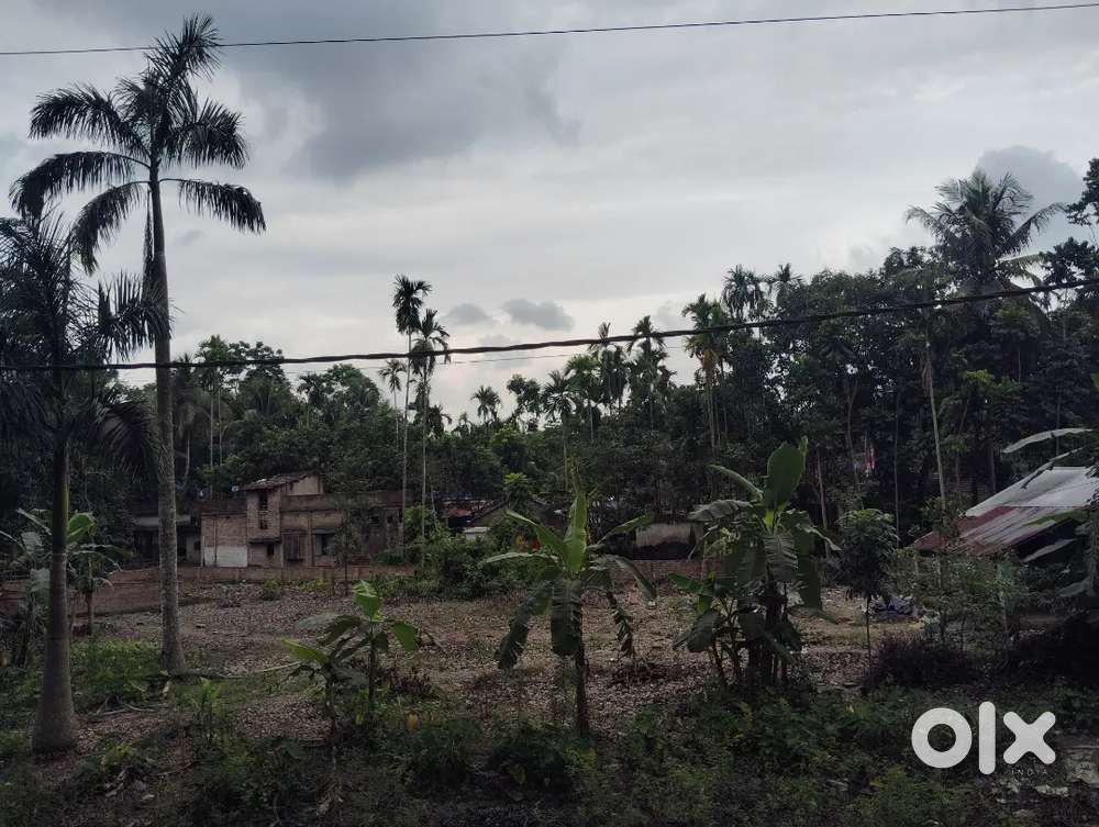 Urgent land for sale