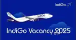 APPLY AIRPORT LARGEST JOBS GROUND STAFF TICKET CHECKER OR DRIVER