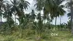 25000 sq ft Main road face land ayyothiyapatinaM