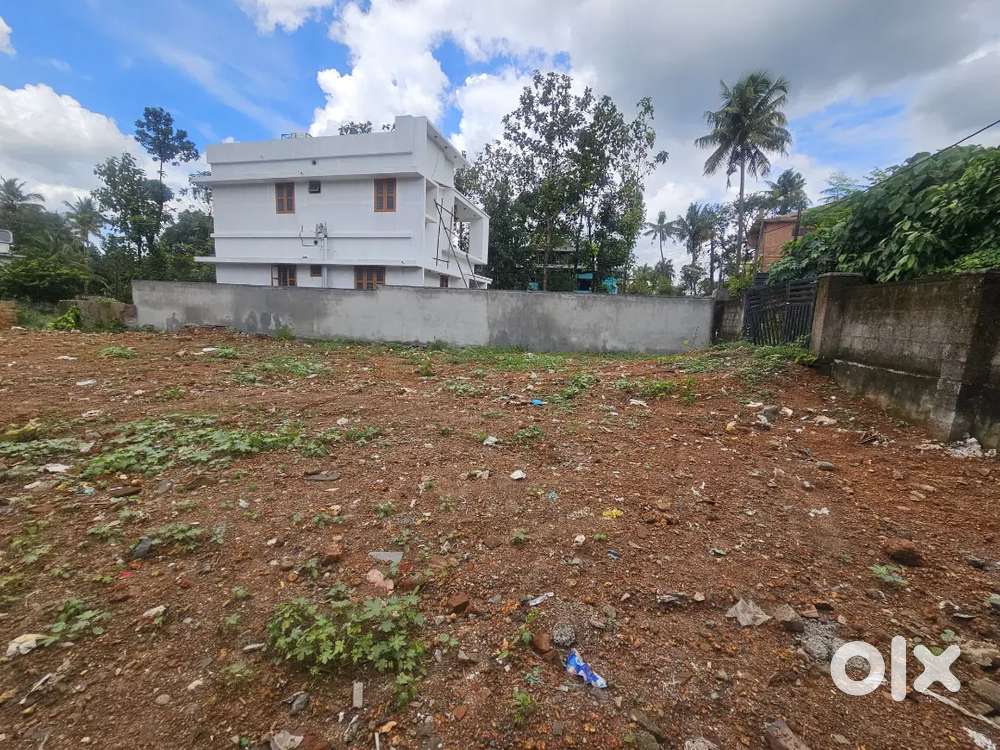 Aluva muttam 12cent land for sale