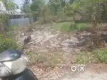8cent plot near panchayath office kanjikuzhy cherthala