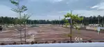 PLOTS FOR SALES IN MORAMPUDI