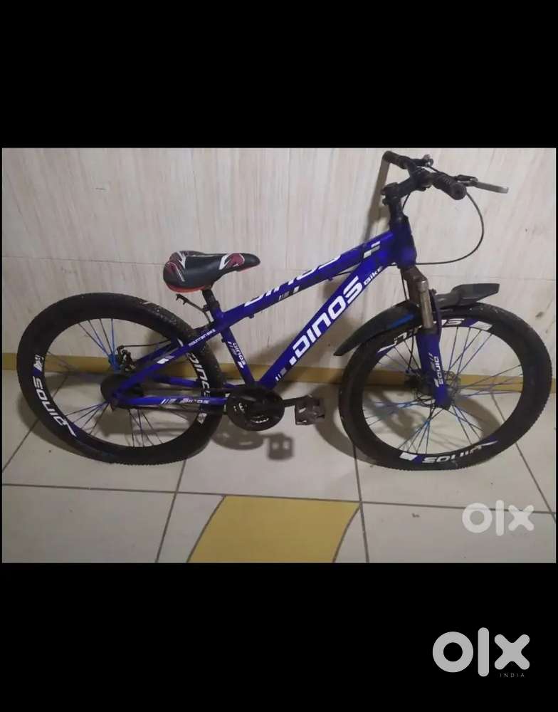 Dinos bicycle