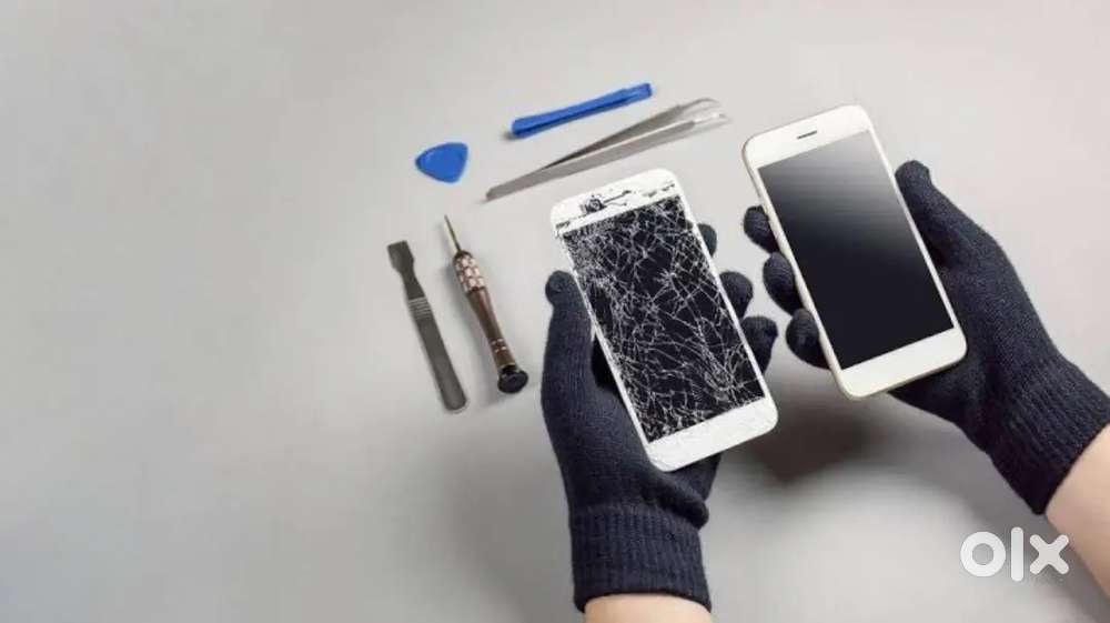 Looking for shop or place