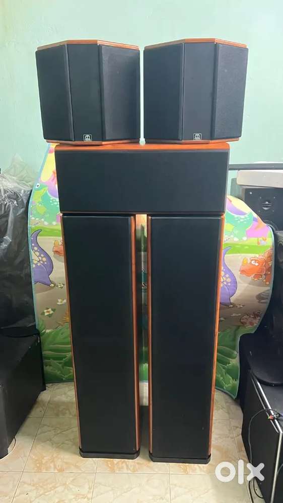 Timber acoustic Reva 5.0