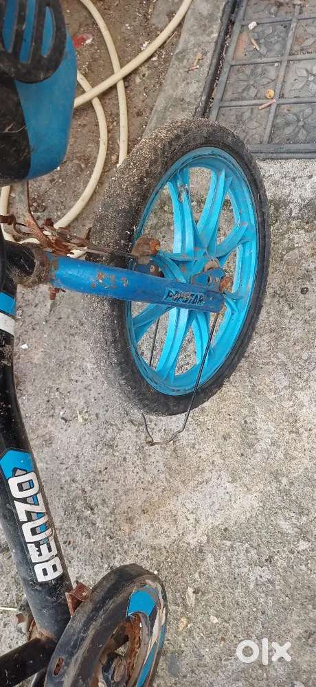 Beautiful Bicycle for kids