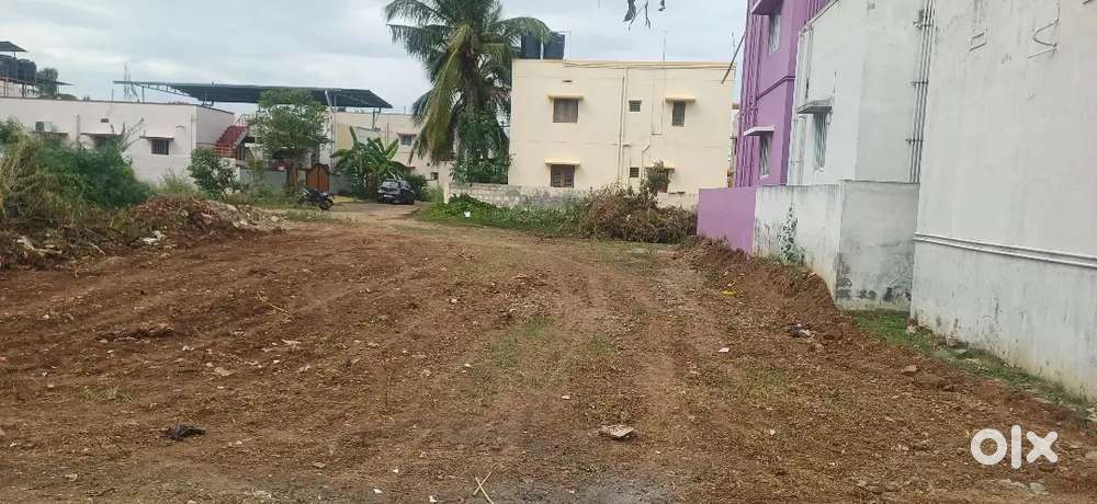 நரசிம்மநாய்கன் பாளையம்