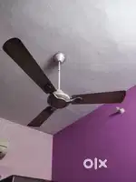 Havells Celling Fan and Ottomate Celling Fan