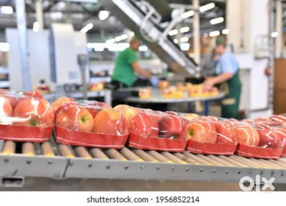 WANTED MALE PACKING STAFFS FOR GROCERY SHOP IN CALICUT