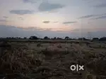 2 Bigha khet orai k pass churkhi road pr sahokhar khera k pass
