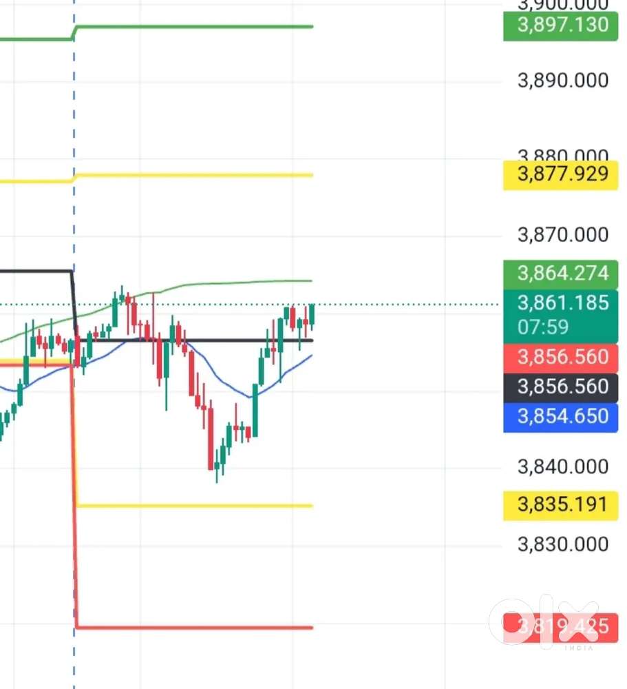 Forex market trading academy