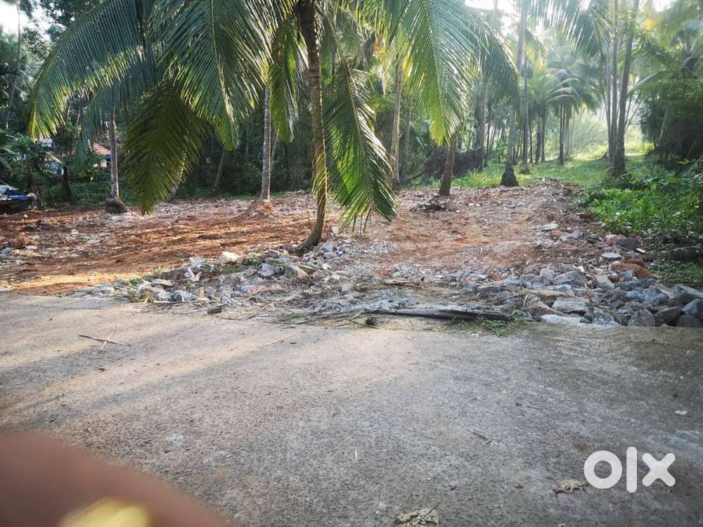 16 Cent Commercial Land for Sale at Payyoli, Calicut (NT)