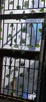 2 rooms Pg for girls.ac.kitchen included.all frniniture  is available