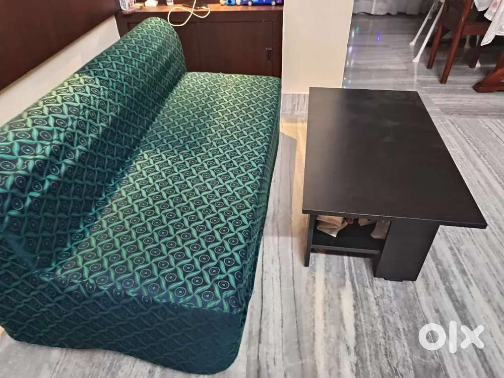 Sofa Cum Bed with Tea Table