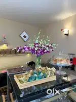 Small monastery Cafe needs worker. Salary plus food an accomodation.