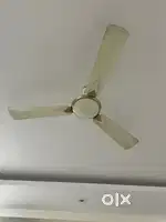 Ceiling fan