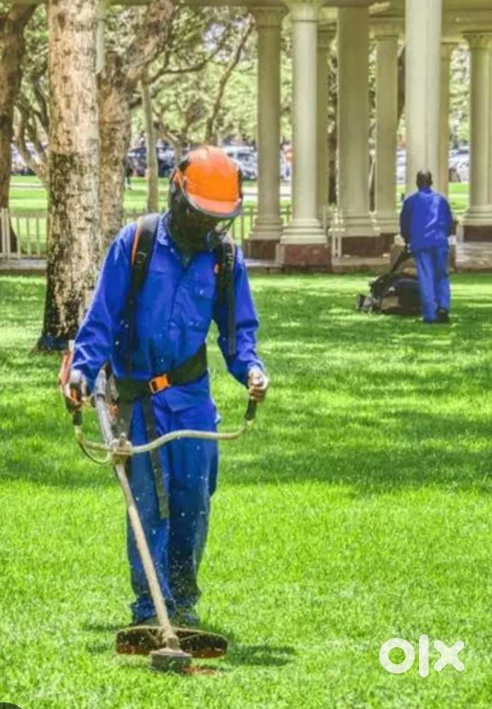 മിഷ്യൻ ഉപയോഗിച്ച് കാടു വെട്ടി തെളിച്ചു കൊടുക്കപ്പെടും