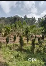 Idukki Ponmudy Dam Very Near 11.5 AC LA pattayam Land sale