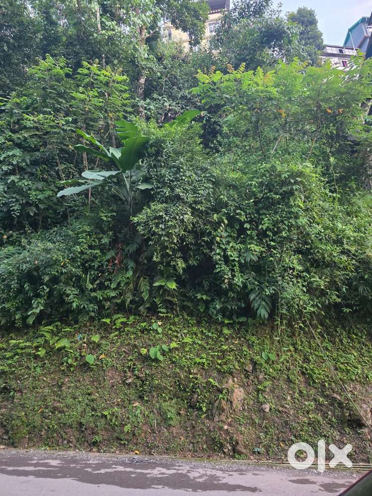 Land for sell