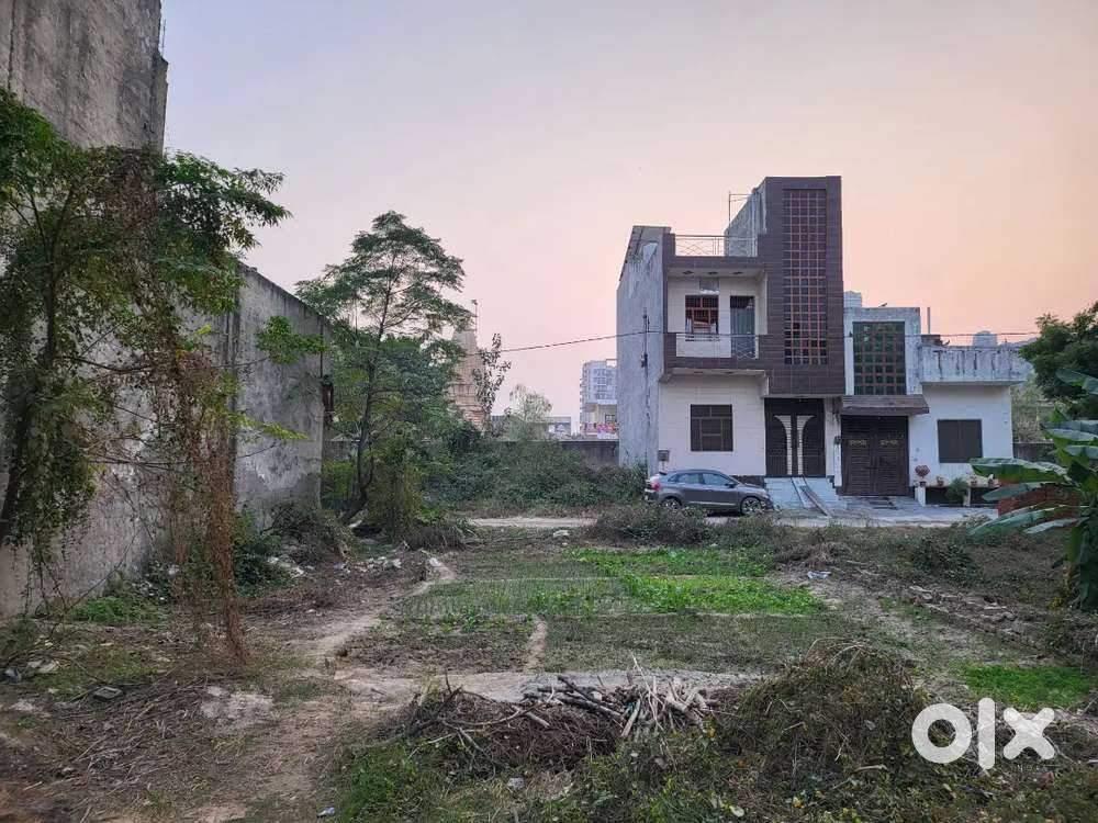 Double fase plot for sale