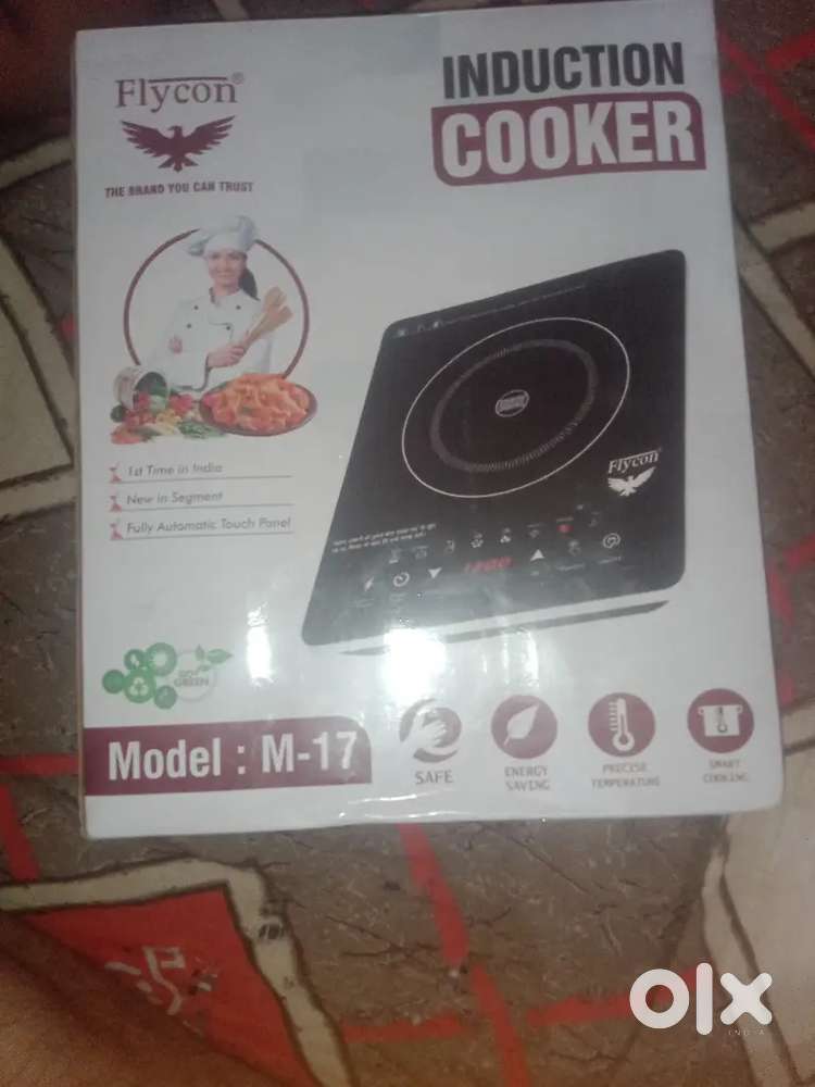 Induction cooker stove