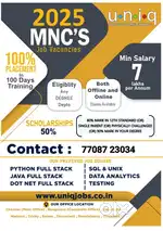 Software developer