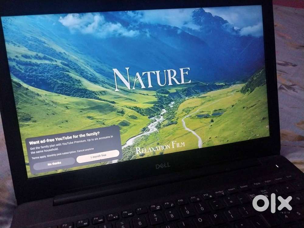 Dell Laptop 8GB RAM 256GB SSD Windows 11 (23H2) Excellent