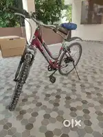 Gear Cycle