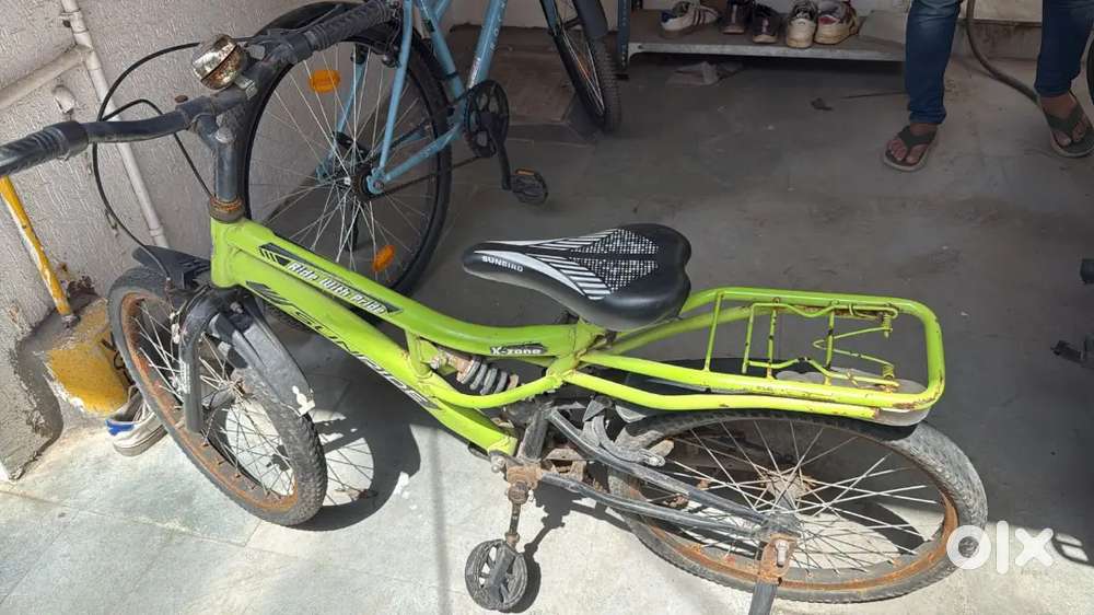 2 BICYCLES