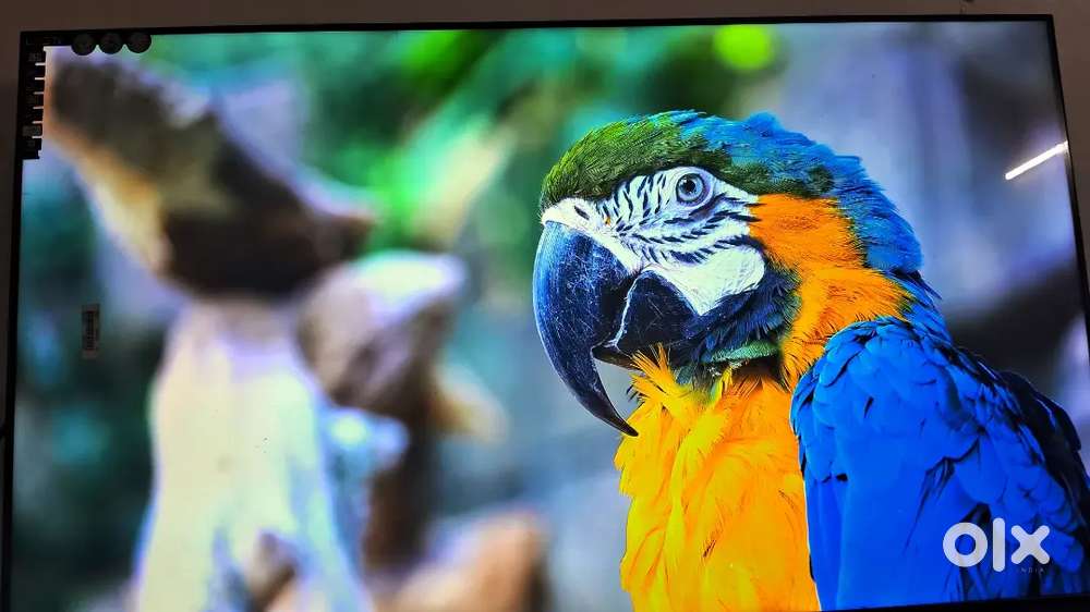 Hi-fi (60 inch) LED Ultra HD (4K) Smart LED TV Android TV 2025