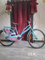 Brand new cycle