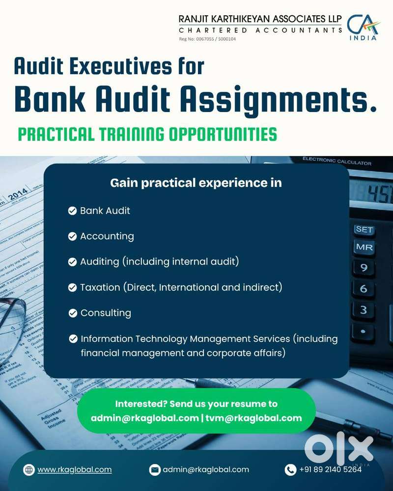Audit Executive - Bank Audit
