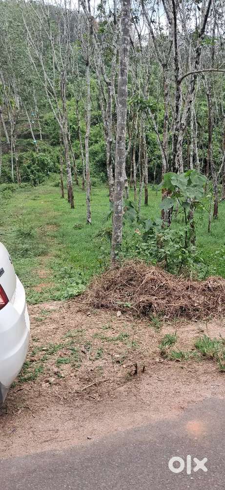 1.75 acre rubber and land