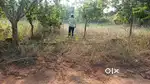 Plot for sale