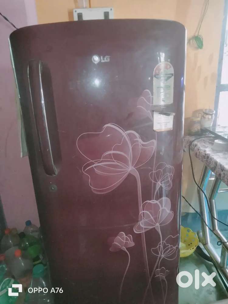 this is a lg singal dore freeze
