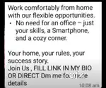 Hiring smart person for online business work