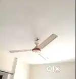 Ceiling Fan in excellent condition