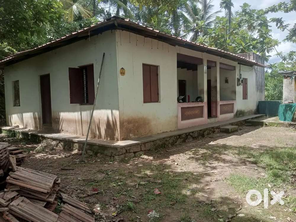 House for sale and rent,12 cent