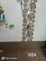 I want to give rent