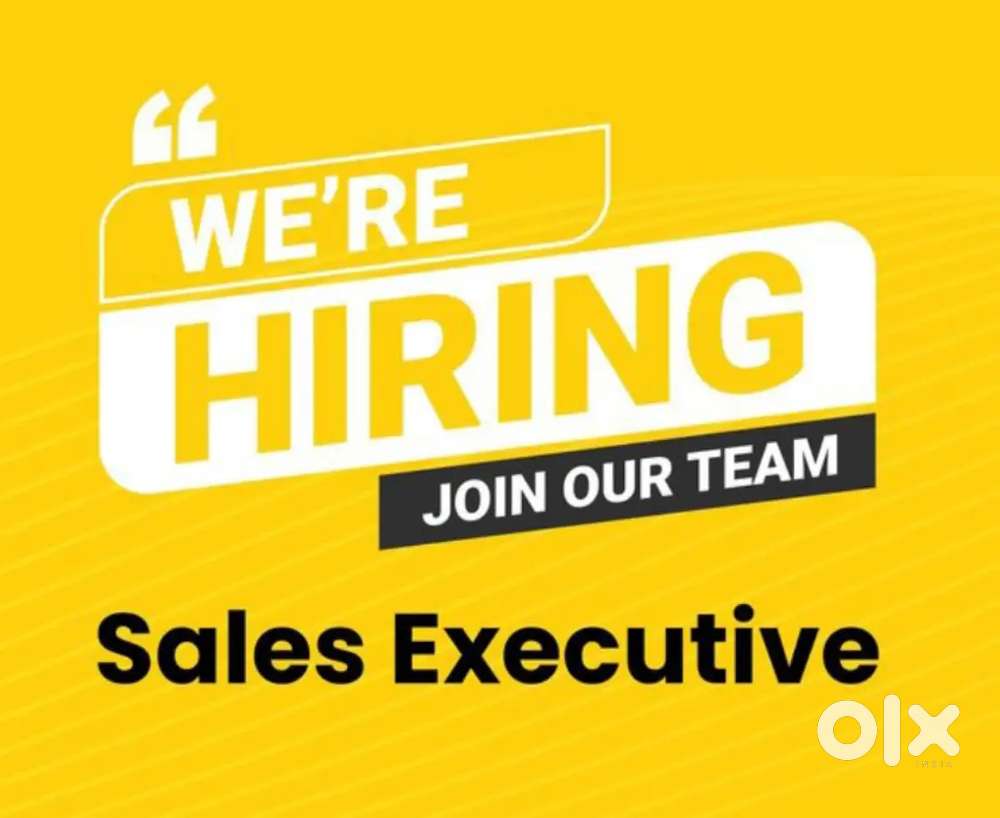 Field sales executive