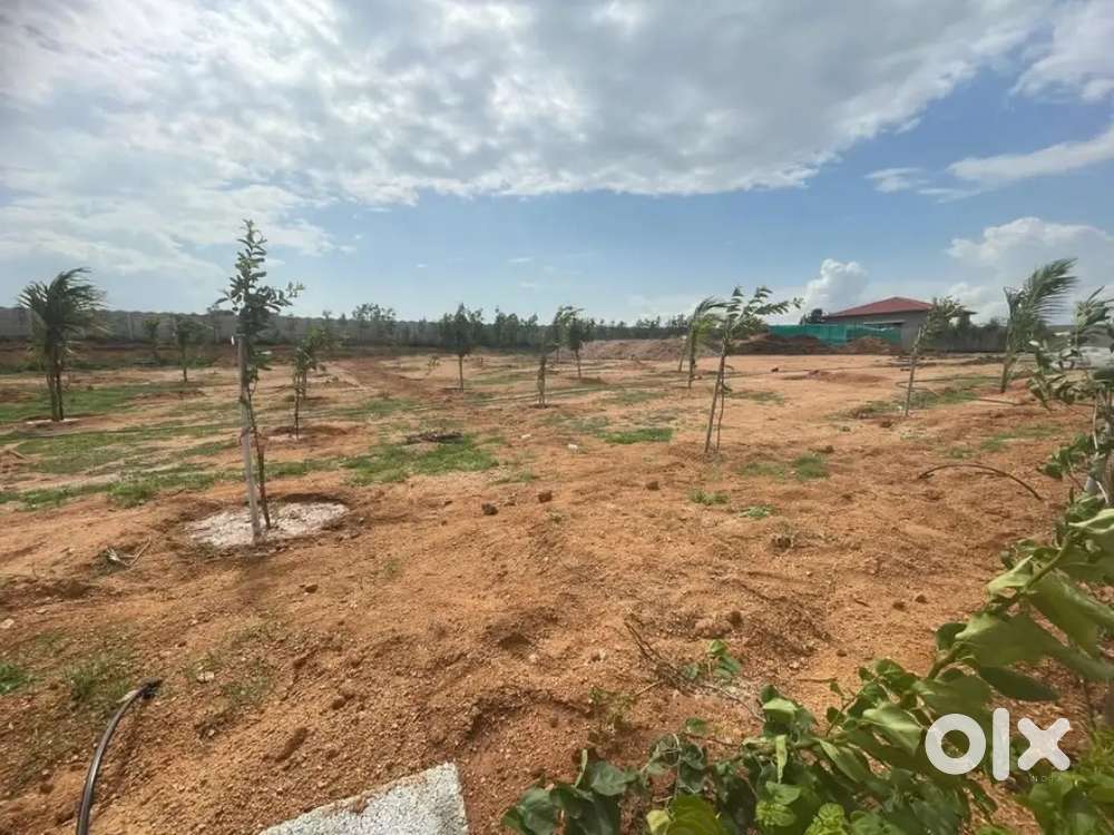 Farm land for sale near KONDAPOCHAMMA RESIRVIOER