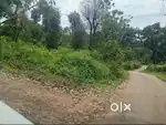 5 Acre Vacant Land for Sale – Somwarpet, Coorg