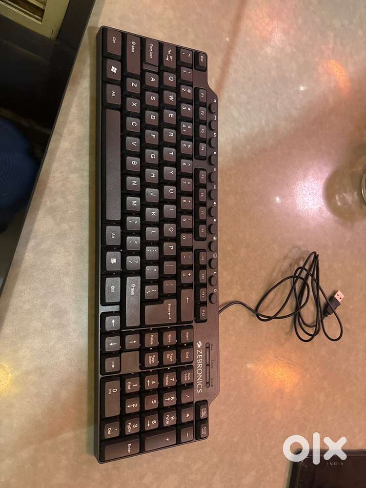 Zebronics Keyboard 1.2 metere wired.