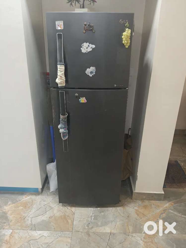 Lg fridge double door