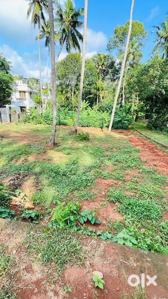 Plot for sale in Chavadi, Near Pulluvila, Kanjiramkulam.