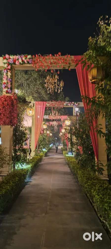 Urgent hiring for waiter