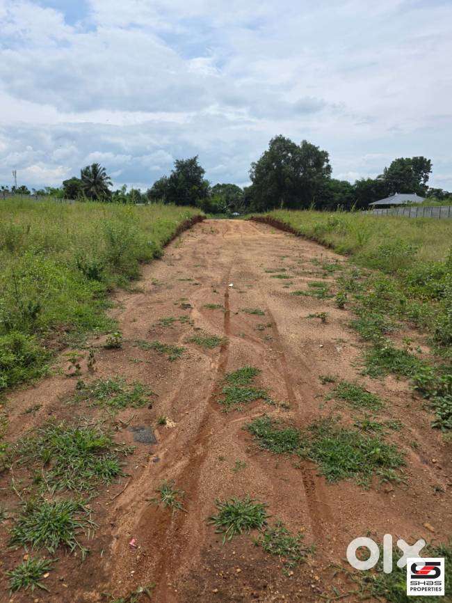 Plots for sale near Pallatheri, Palakkad