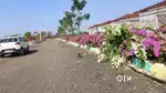 303 Sq yards farm plot is available for sale at Narayankhed, Hyderabad