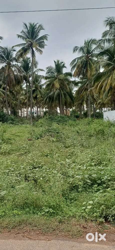 PERIYANAIKEN PALAYAM